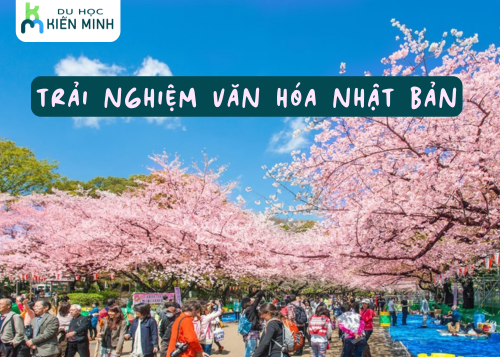 Trải nghiệm văn hóa Nhật Bản khi du học với những điều thú vị 